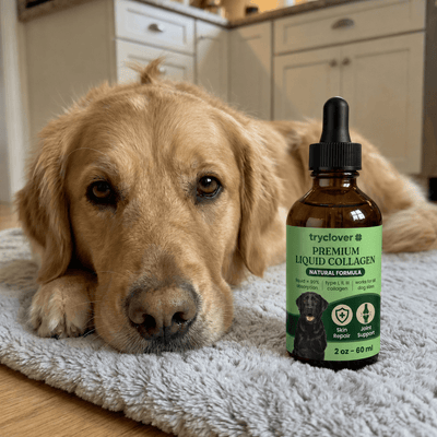 Clover Collagen™ – The Micro Peptide Repair System - try clover