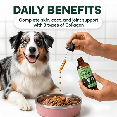 Clover Collagen™ – The Micro Peptide Repair System - try clover