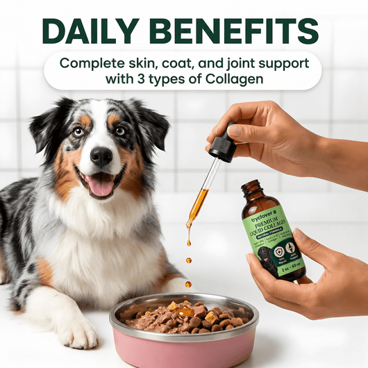 Clover Collagen™ – The Micro Peptide Repair System - try clover