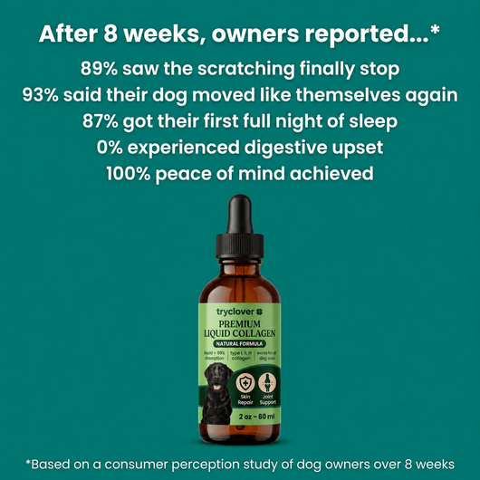 Clover Collagen™ – The Micro Peptide Repair System - try clover