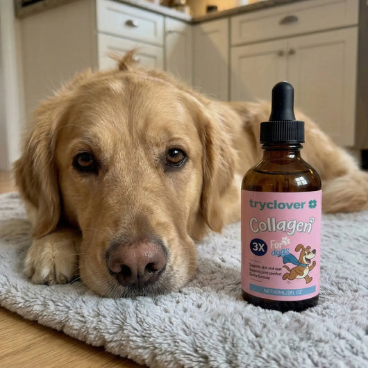 Clover Collagen™ – The Micro Peptide Repair System - try clover