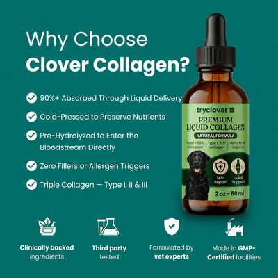 Clover Collagen™ – The Micro Peptide Repair System - try clover