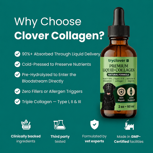 Clover Collagen™ – The Micro Peptide Repair System - try clover