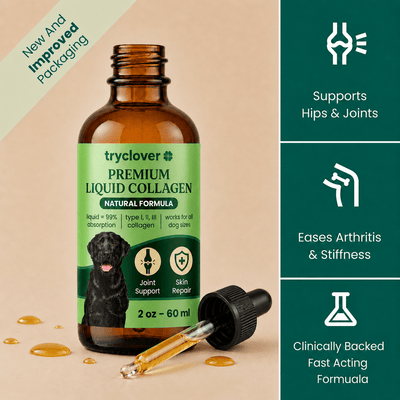 Clover Premium Liquid Collagen - try clover