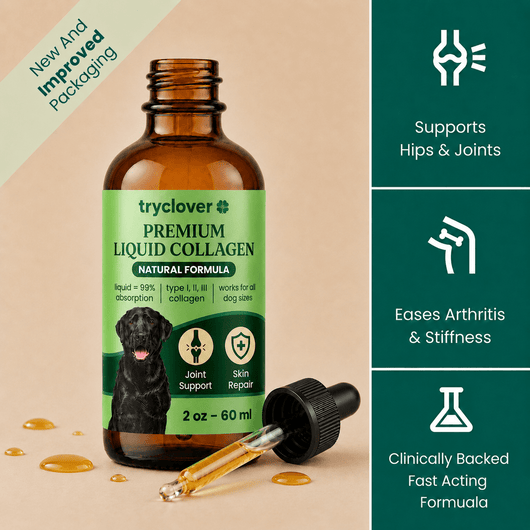 Clover Premium Liquid Collagen - try clover
