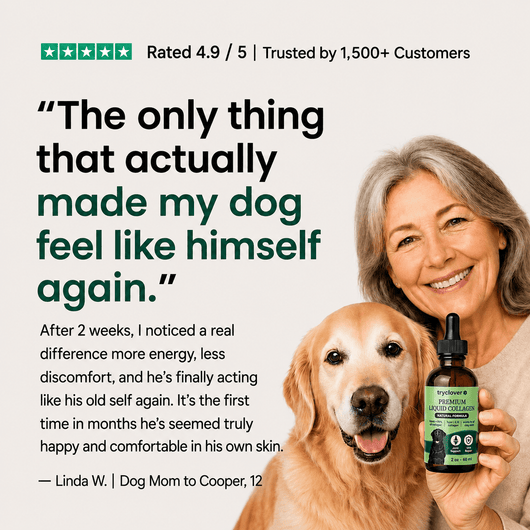 Clover Premium Liquid Collagen - try clover