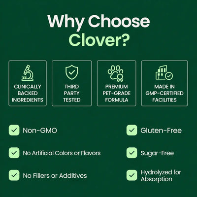 Clover Premium Liquid Collagen try clover