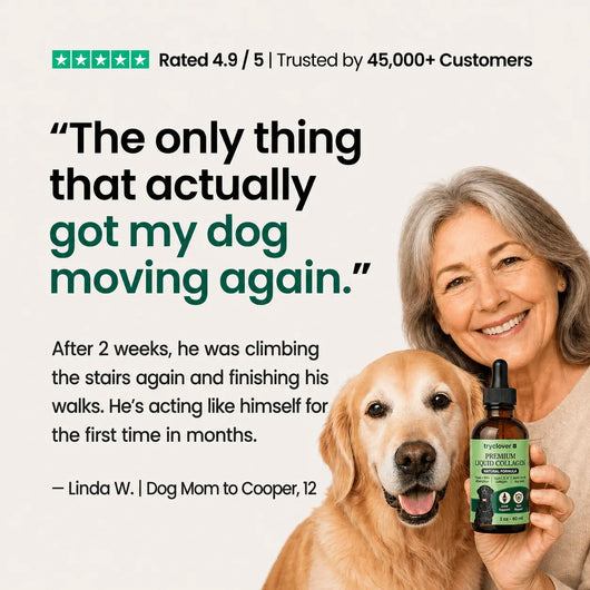 Clover Premium Liquid Collagen try clover