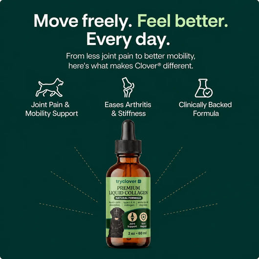 Clover Premium Liquid Collagen try clover