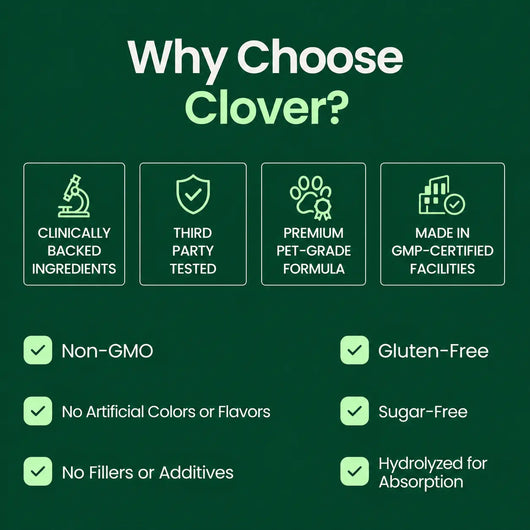 tryclover® Premium Liquid Collagen try clover