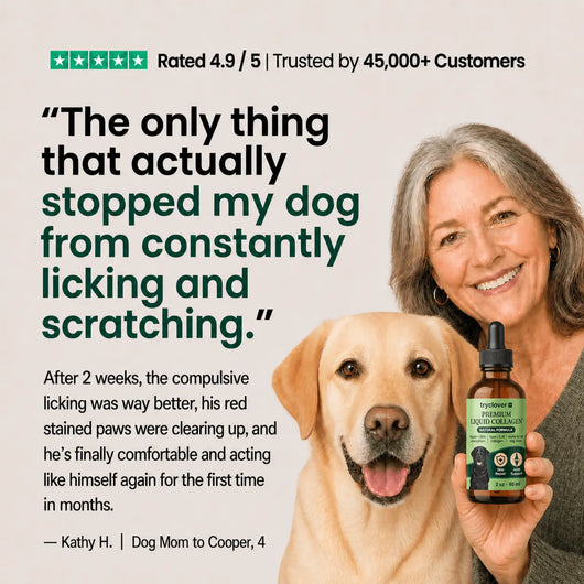 tryclover® Premium Liquid Collagen try clover