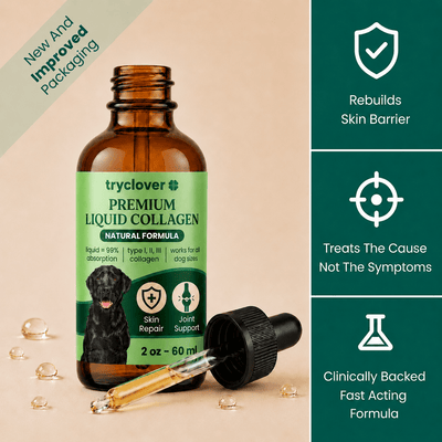 TryClover® Premium Liquid Collagen - try clover