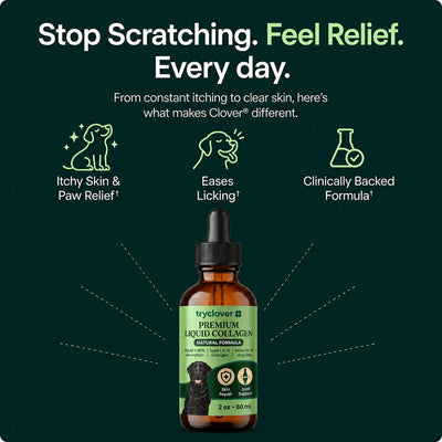 tryclover® Premium Liquid Collagen try clover